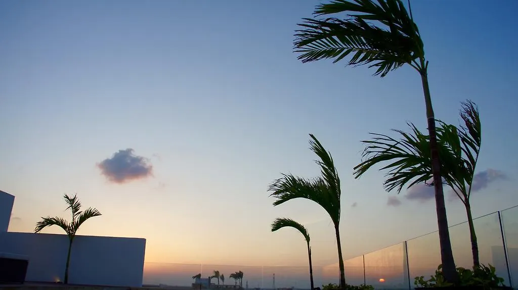Apartment Areca 501 普拉亚卡门